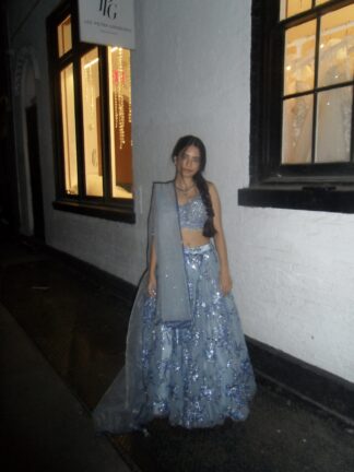 Elegant Sparkly Lehenga
